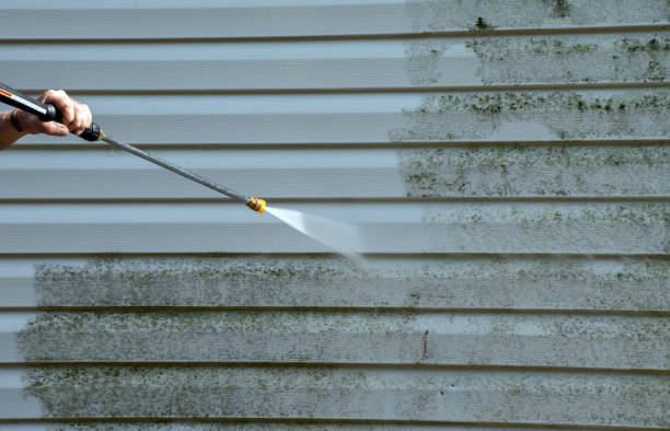 Best Affordable Power Washing  in Grapeland, TX