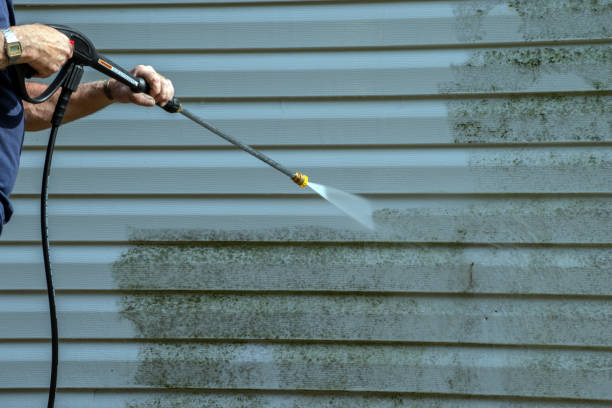 Best Commercial Building Pressure Washing  in Grapeland, TX