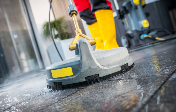 Best Pressure Washing Company Near Me  in Grapeland, TX