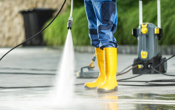 Best Pressure Washing Near Me  in Grapeland, TX