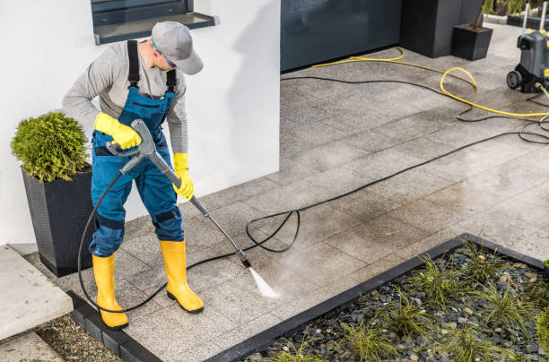 Best Best Pressure Washing Companies  in Grapeland, TX