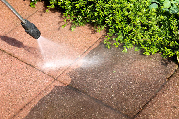 Best Commercial Building Pressure Washing  in Grapeland, TX